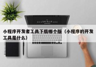 小程序开发者工具下载哪个版（小程序的开发工具是什么）